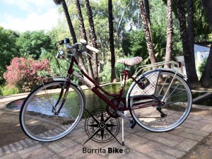 Burrita Bike Cinzia Sevilla Alcalá de Guadaira 