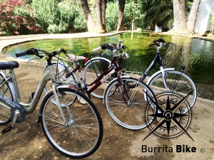 Burrita Bike Cinzia Sevilla Alcalá de Guadaira 